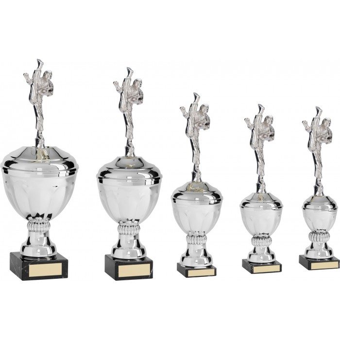 AXE KICK METAL KARATE TROPHY  - AVAILABLE IN 5 SIZES